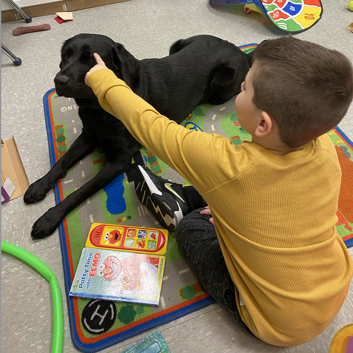 Occupational Therapy for Autism