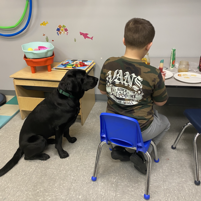 Occupational Therapy for Autism