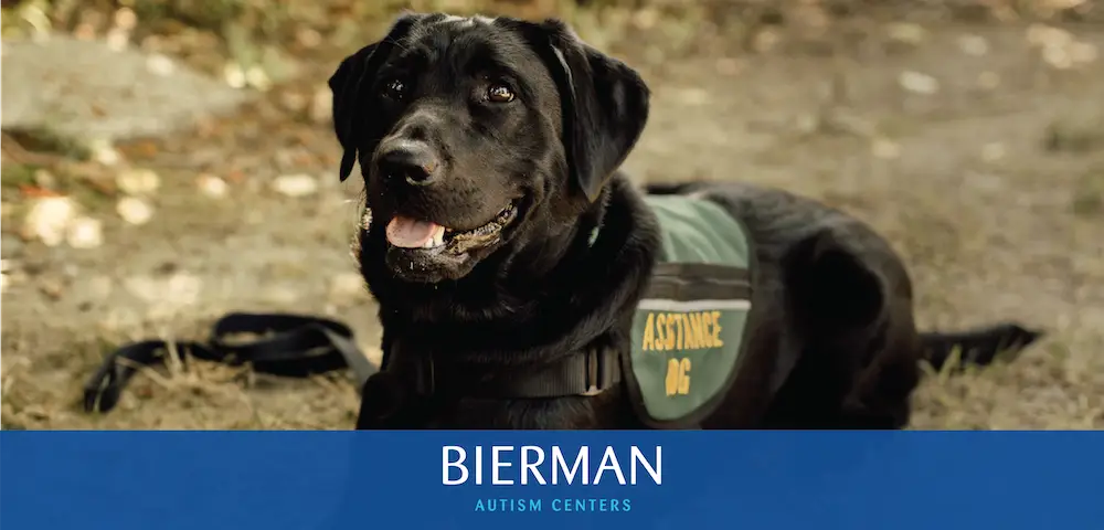 Does Animal Assisted Therapy Help Children with Autism