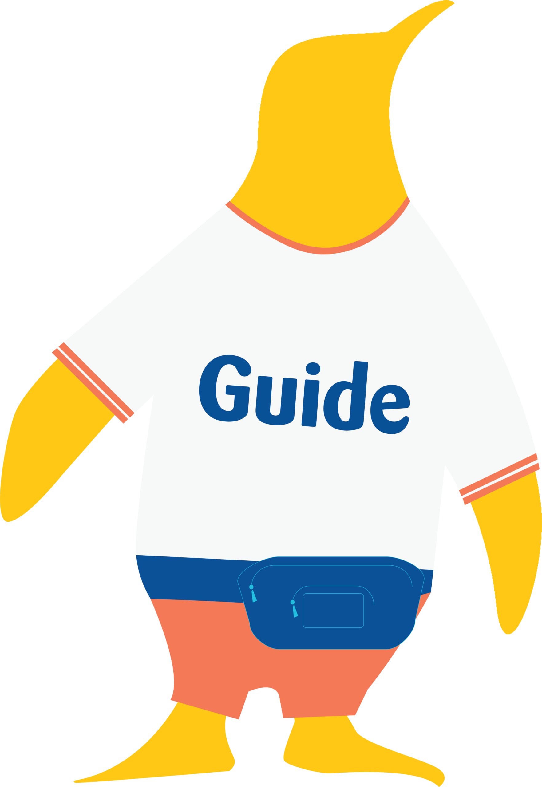 Guide