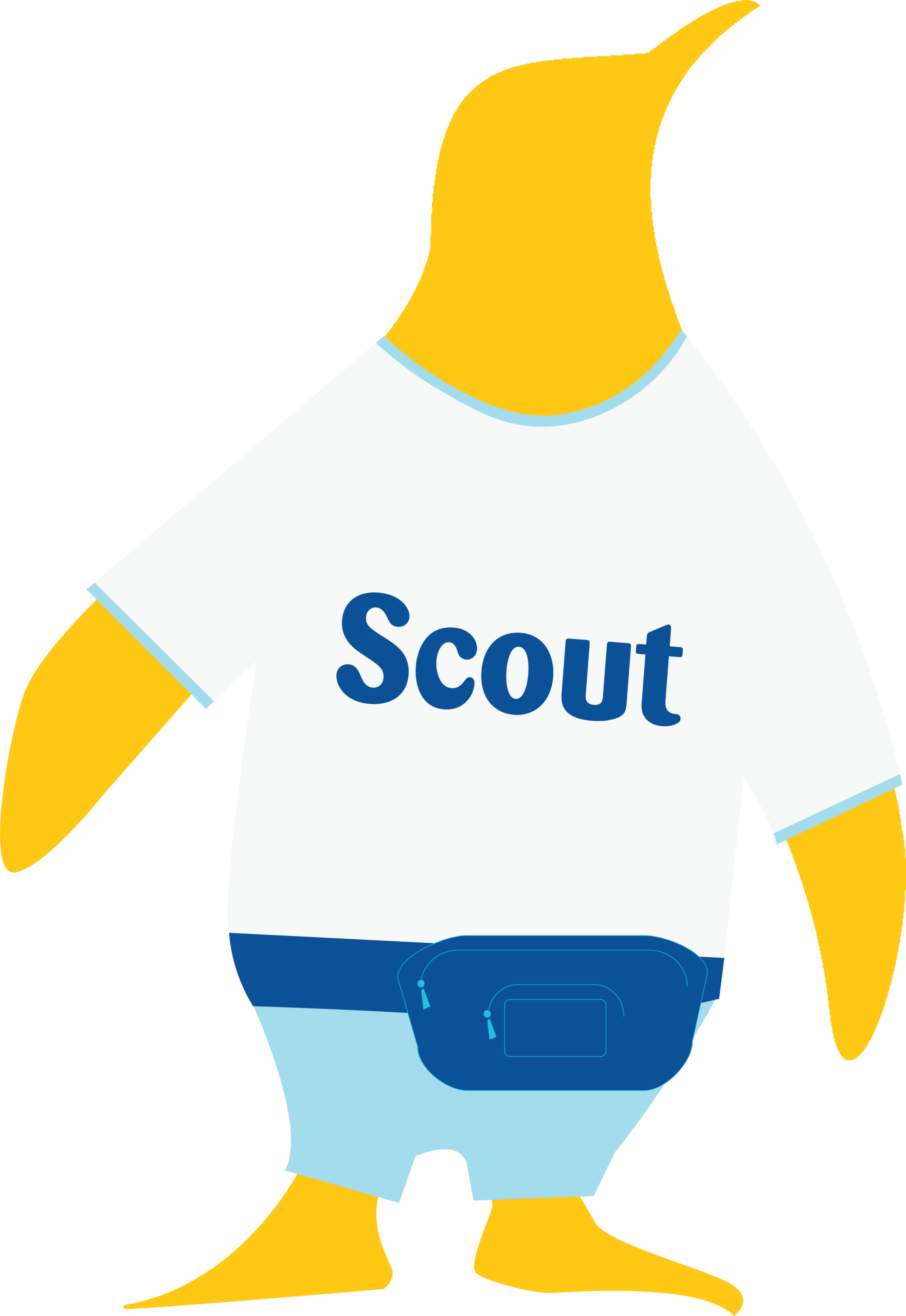 Scout